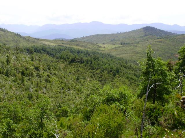 Bosque Paisaje Protegido San Juan de la Peña