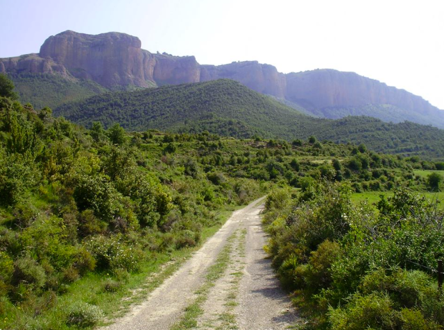 Camino que nos lleva hacia la Sierra de San Juan de la Peña